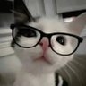 www profil fotoğrafı