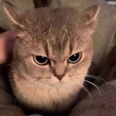 jieyan96's profile picture
