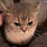 Jieyan96's profile picture