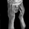hoodtrophy685007 profil fotoğrafı