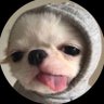 กระเพราหมูกรอบ.'s profile picture
