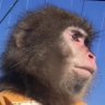 Profilbild von 𝓗𝓪𝓼𝓼𝓪𝓷