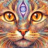 サイケ猫あくびタンFX🥰 的头像