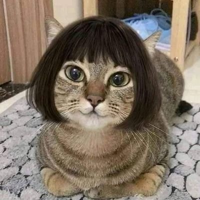 i am sam@มาสตรีม alter ego กันเถอะ✌'s profile picture