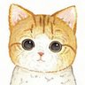Nicolas Zfour's profile picture