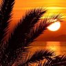 الصياد_العربي profil fotoğrafı