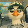 Фото профиля goose