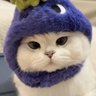 Profilbild von 𝘉𝘙 ˖ ⊹