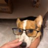 Profilbild von Tian