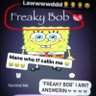 Profilbild von bobert