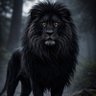 Фото профиля BLACK LION 🦁
