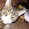 Profilbild von ente