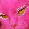𝑮𝑮𝑮 𝙖𝙡𝙨𝙝𝙢𝙢𝙖𝙧𝙞 profil fotoğrafı