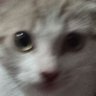 Profilbild von Zwei