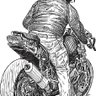 Narcisse Gabez's profile picture