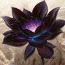 黒須翔's profile picture