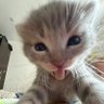 zayyin's profile picture
