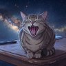 かぶねこ profil fotoğrafı