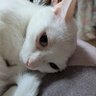 驚 profil fotoğrafı