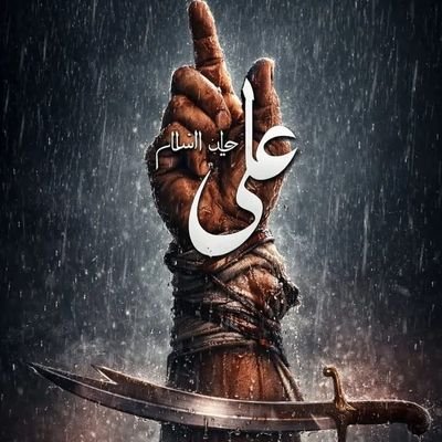 Seğbetullah Naser's profile picture