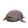 Profilbild von Lux eterna