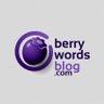 Berrywords🥶's profile picture