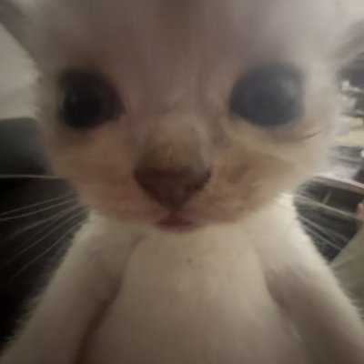 YUN's profile picture