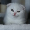 东云Po's profile picture