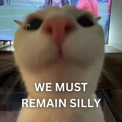 The R's profile picture