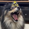 Profilbild von みのーり