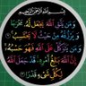 Profilbild von Muhammad Adnan khan