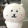 밥짱이 的头像
