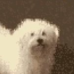 Marinaraimpasta's profile picture