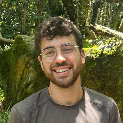 RoeeLotem's profile picture
