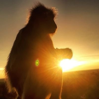 Casmir's profile picture