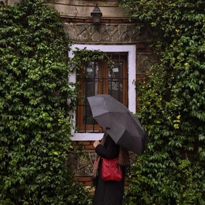 ruhunevaz's profile picture