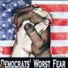 NoIslamTX's profile picture