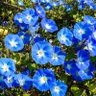 Yadira blues's profile picture