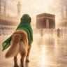 شکارچی‌اجنبی's profile picture