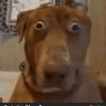 krimm's profile picture