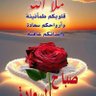 Фото профиля Ashraf Mohmed