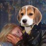Profilbild von HowlingBeagle