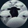 Black Shelby's profile picture
