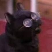 ElxGatox's profile picture