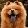 Michael's profile picture