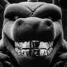 Profilbild von Guilherme MMᵃᶜᵍ