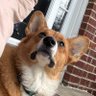 Adam's profile picture