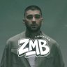 Profilbild von Zayn Brasil | fan account 🇧🇷