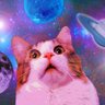 のびのびニャン's profile picture