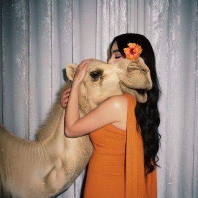 7__ko7_'s profile picture